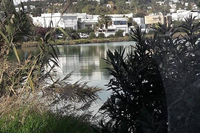 Tunis, Carthage and Sidi Bou Said Self-Guided Excursion from Hammamet - Sidi Bou Said and Café des Délices: mint tea, art streets, and an end-of-day rhythm