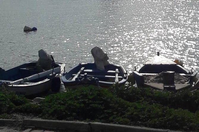 Tunis, Carthage and Sidi Bou Said Self-Guided Excursion from Hammamet - What the small-group private format really gives you