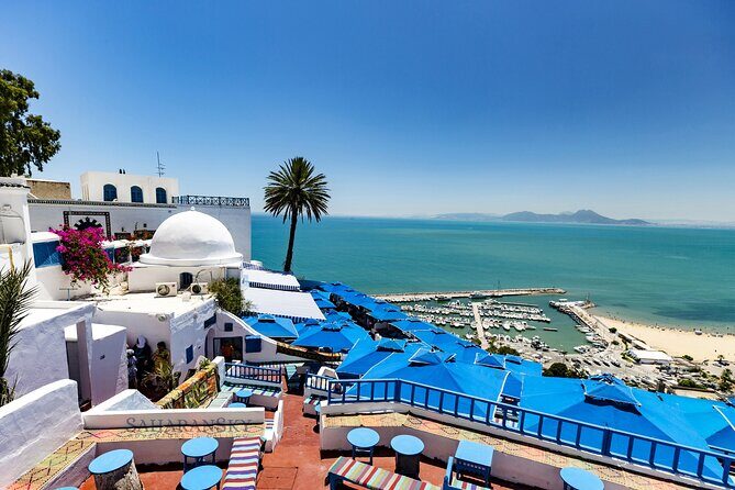 Tunis Group Tour: Carthage, Sidi Bou Said, Bardo museum & Medina - Price and Logistics: What $99 Buys You