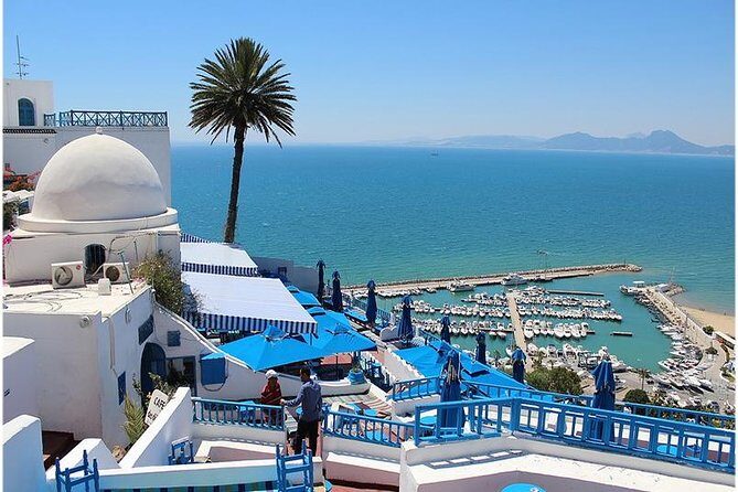 Tunis, Sidi Bousaid and Carthage Day Trip from Monastir - Key highlights worth your attention